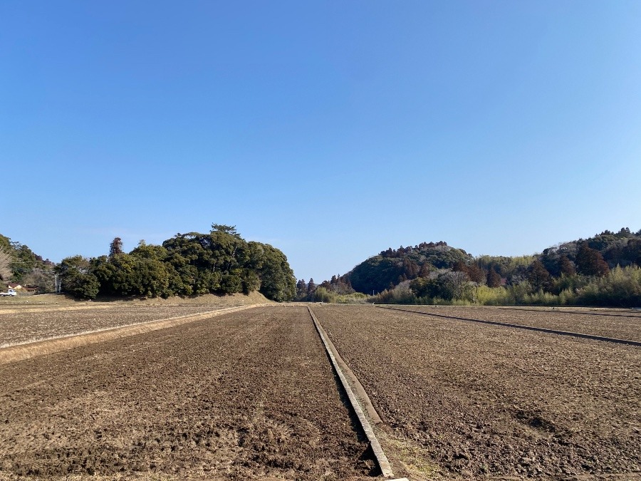 田植えの準備中