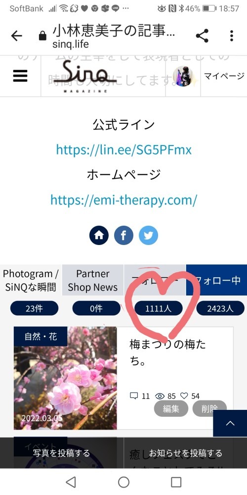 1111人の皆様！ありがとうございます🌹