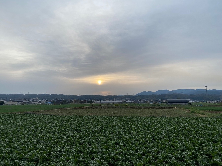 今朝の空♡