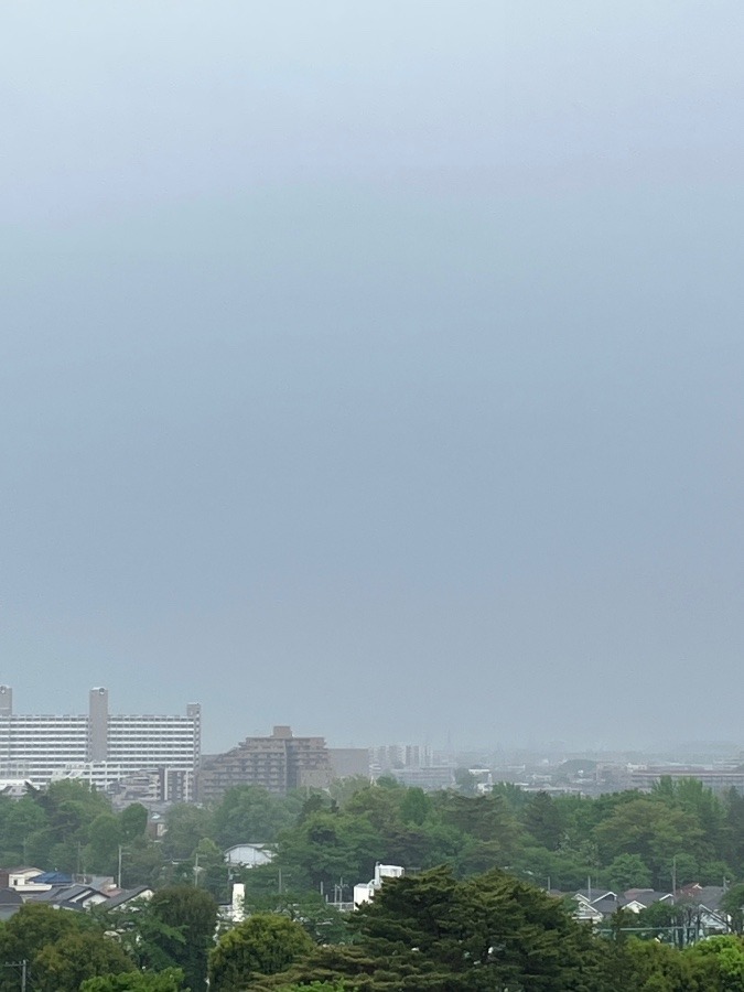 今朝の東の空