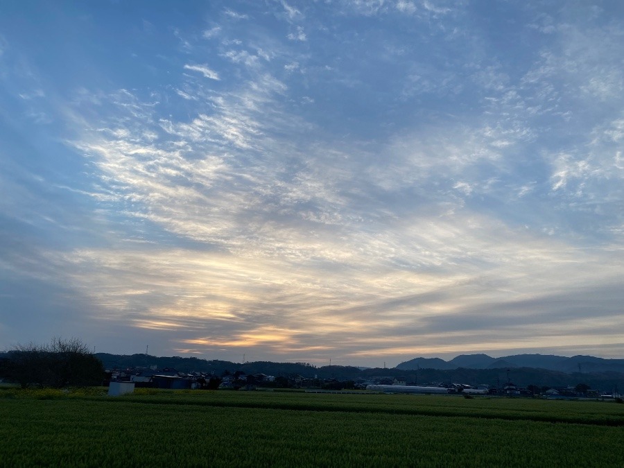 今朝の空♡