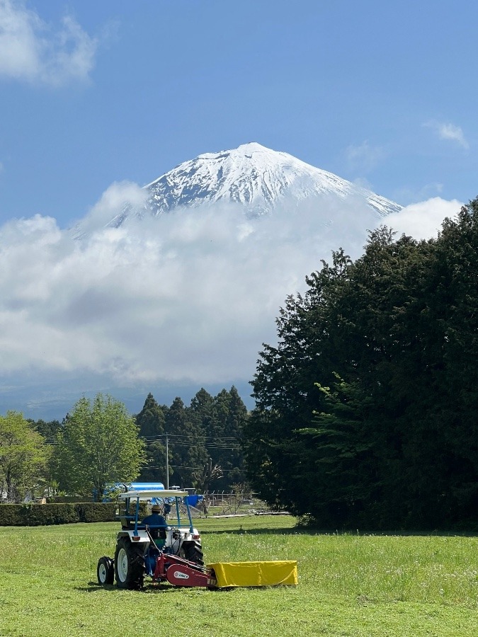 富士宮からの🗻