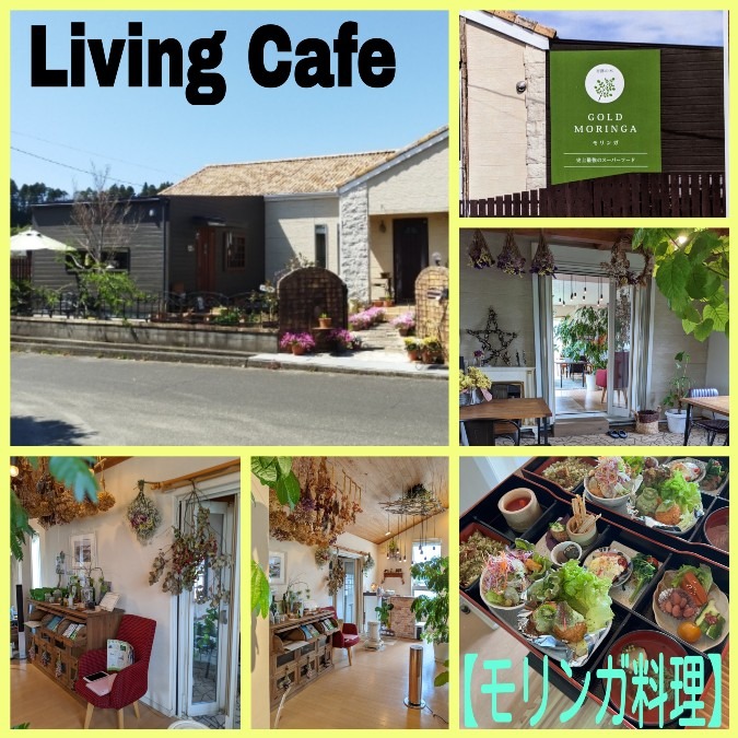 Living Cafe スーパーフード❗モリンガ料理✨