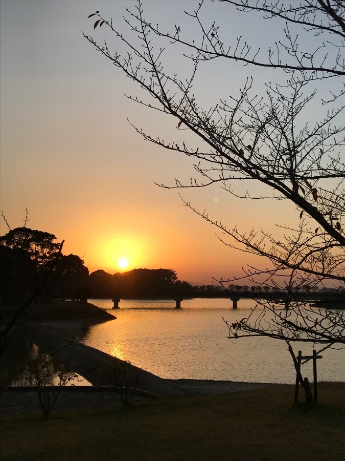 ✨美しい夕日✨