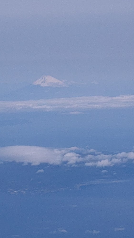 飛行機～見えました❗