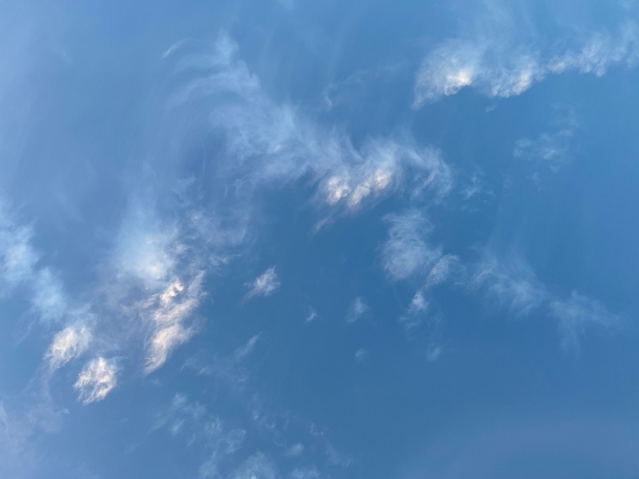 今空④