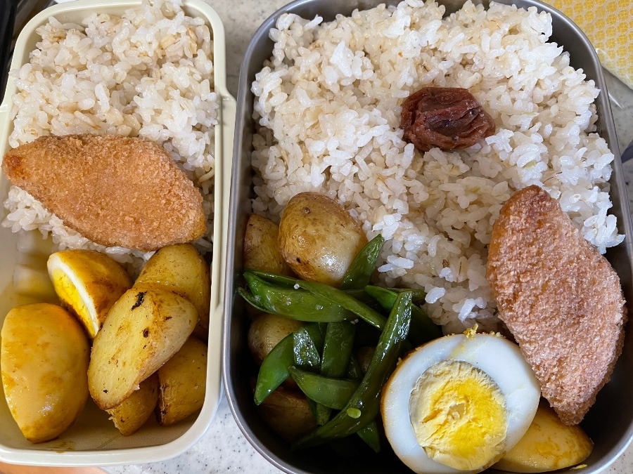 4月26日のお弁当