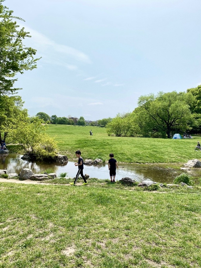 初夏の匂い