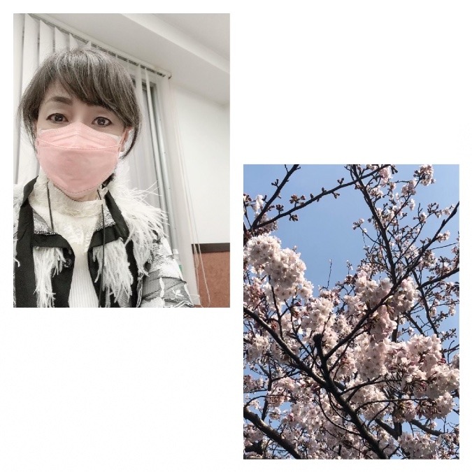 桜