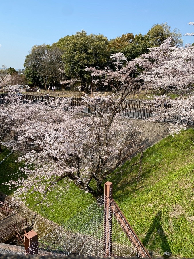 南禅寺に到着します🌸