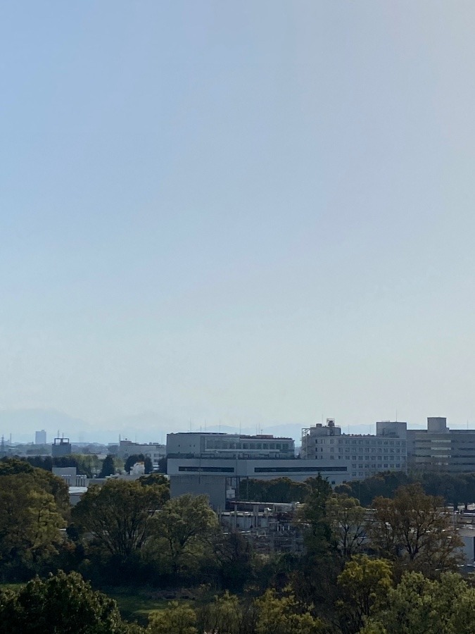 今の富士山