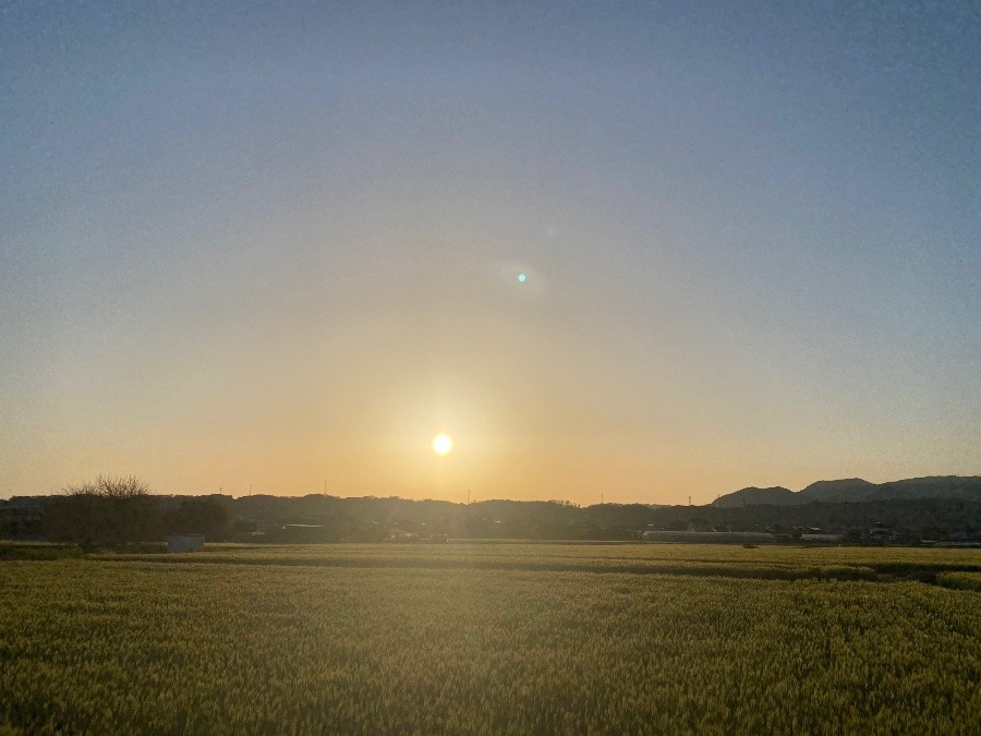 今朝の空