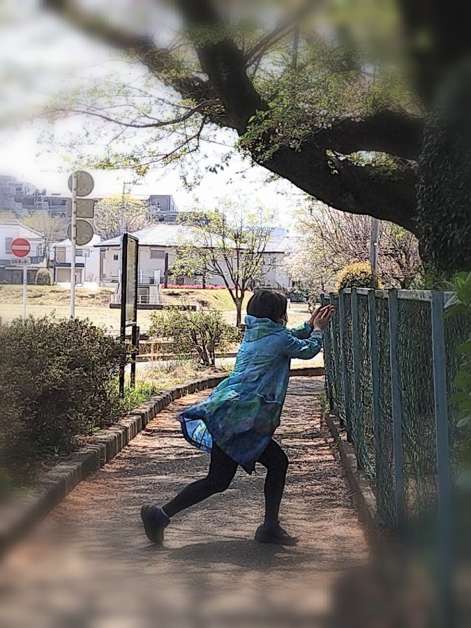 運の掴み方❤️桜の花びら空中キャッチ【おまけ】エンロールを思う🌟　