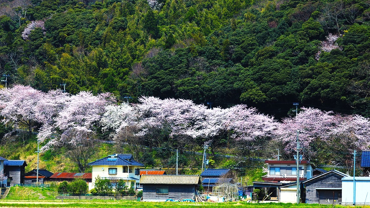 但馬漁火ライン