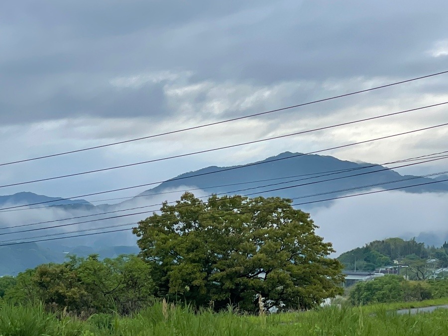 雨上がり