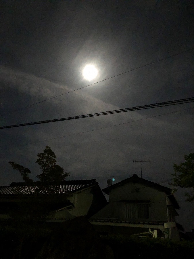 夜空の月