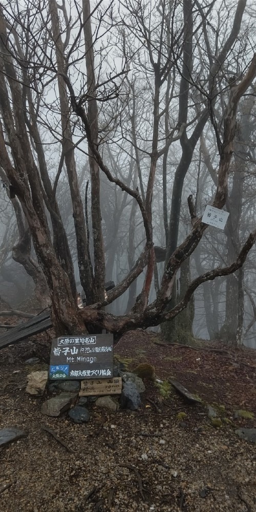 京都一の高さ  皆子山登山