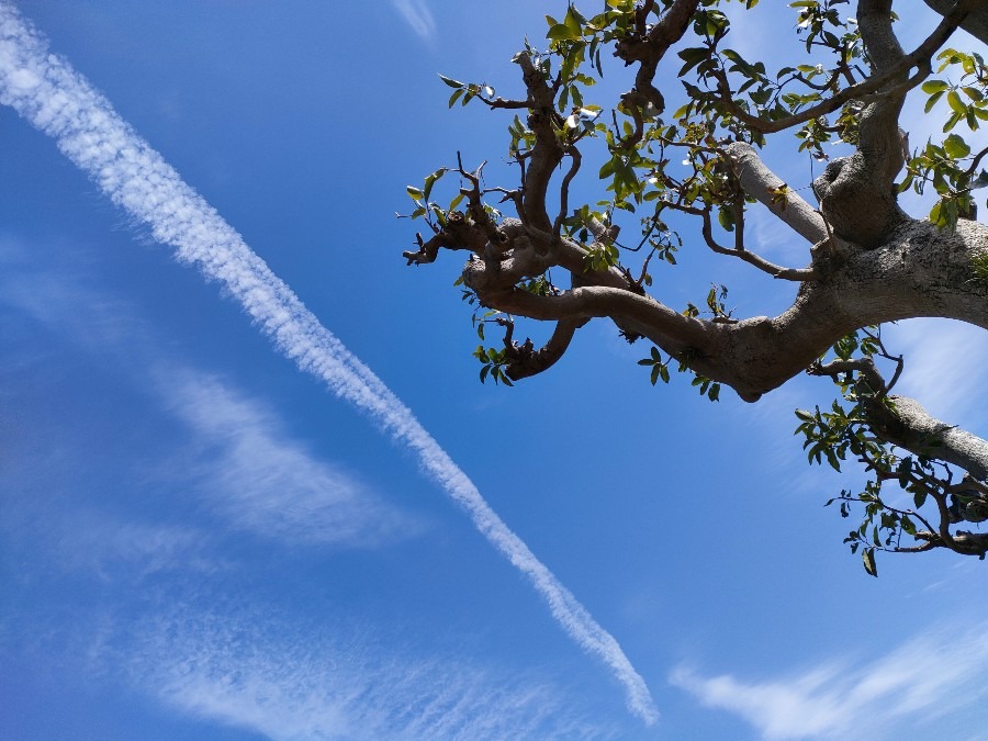 4/1の空