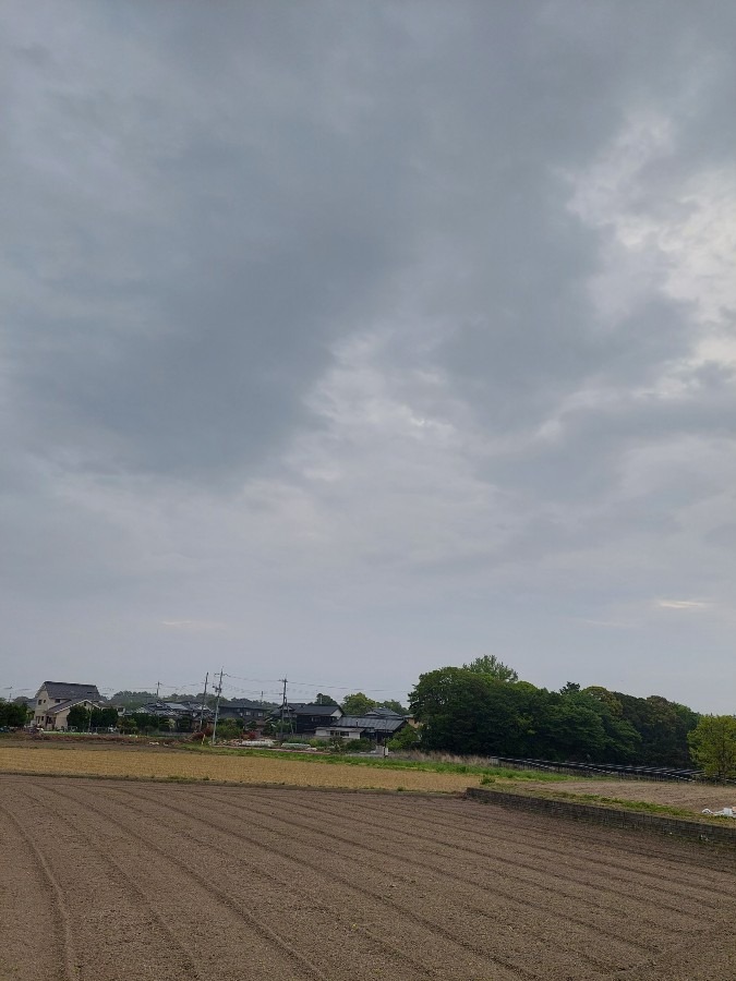 今朝の空  4/26