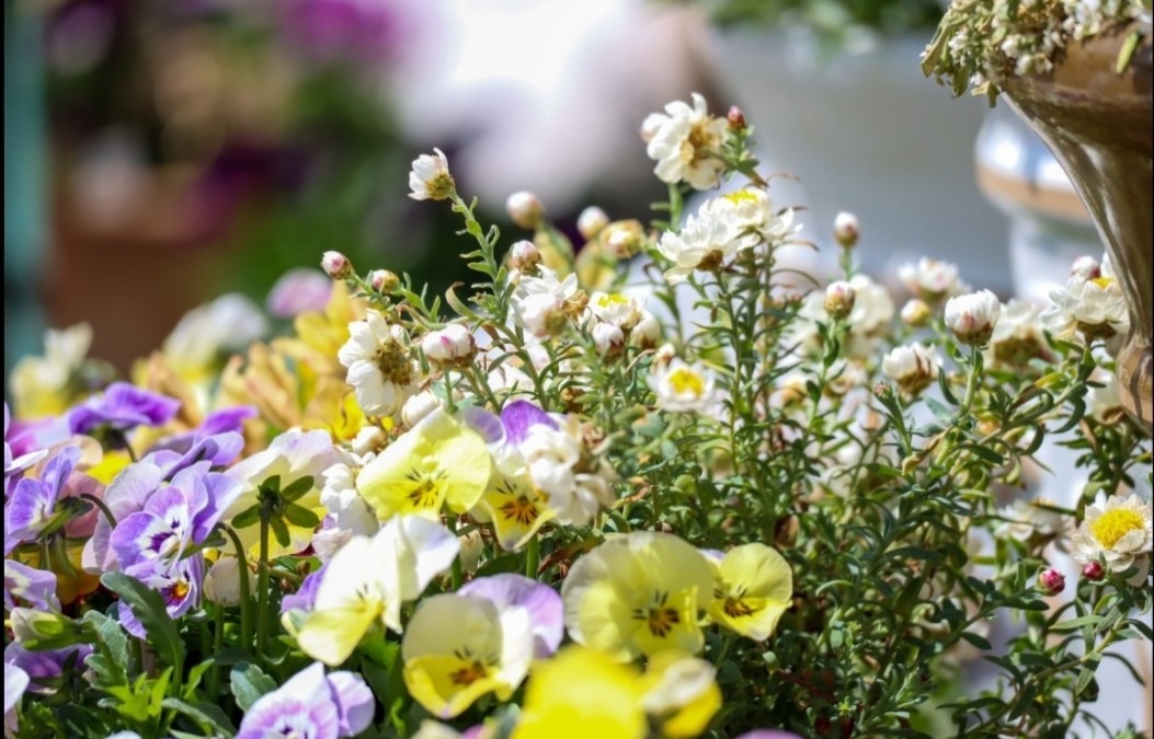 友人からの写メ寄せ植え花かんざし