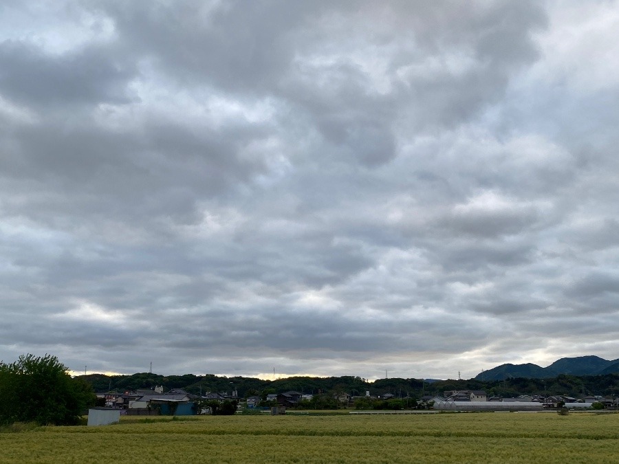 今朝の空