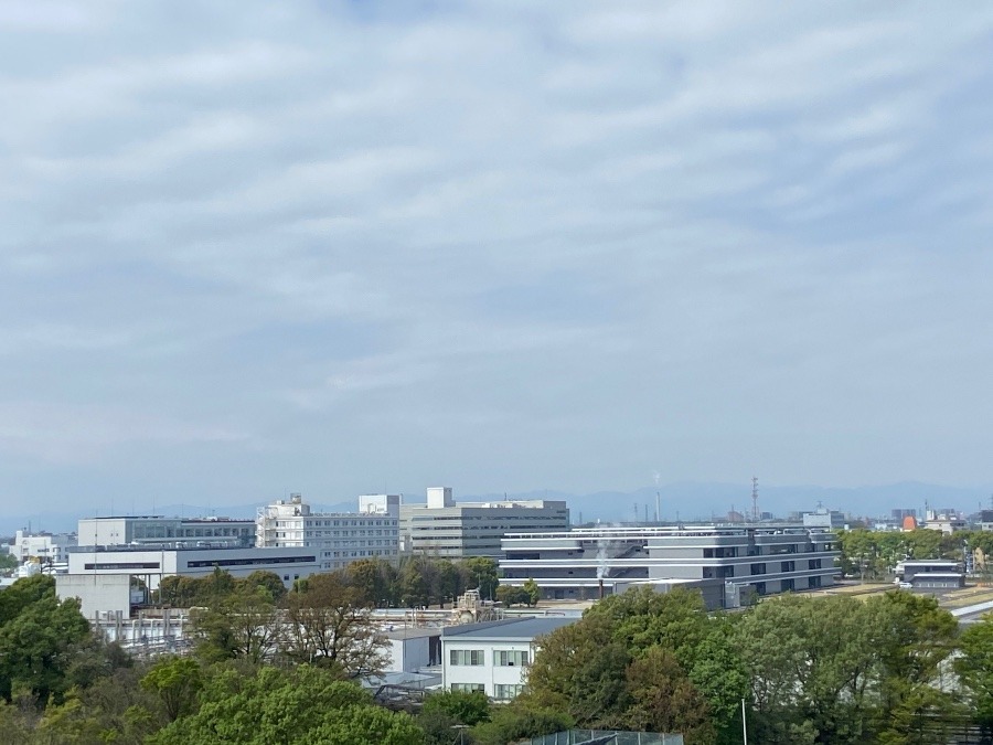 今朝の富士山