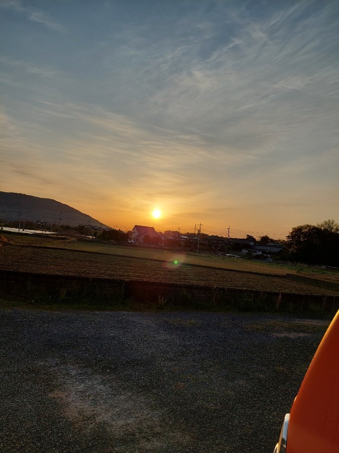 今日の朝日☀️