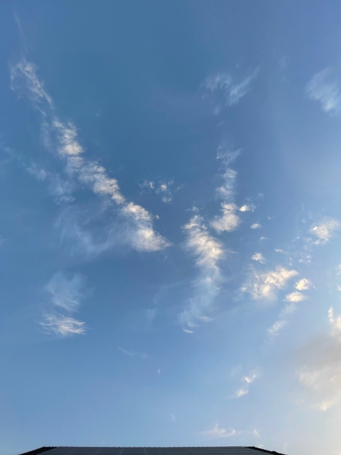 今空⑥