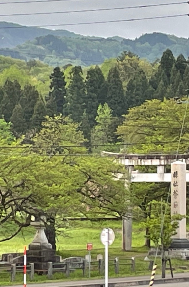 蒼柴(あおし)の森