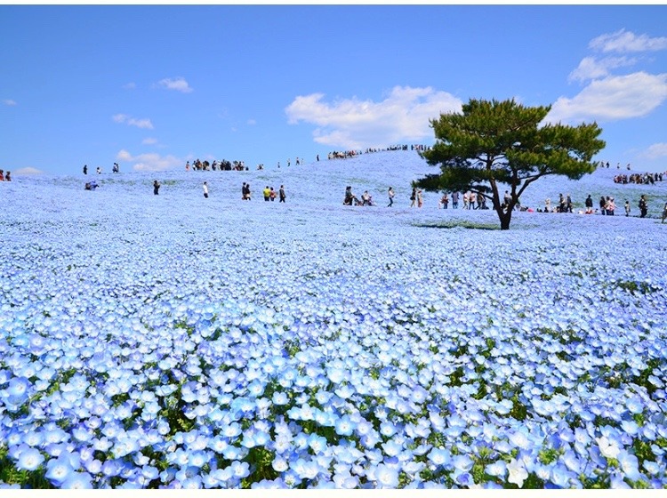 死ぬまでに行きたい！世界の絶景