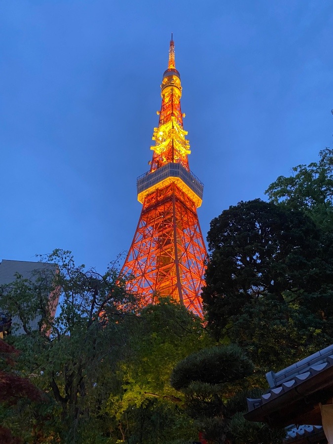 東京タワー　大好き