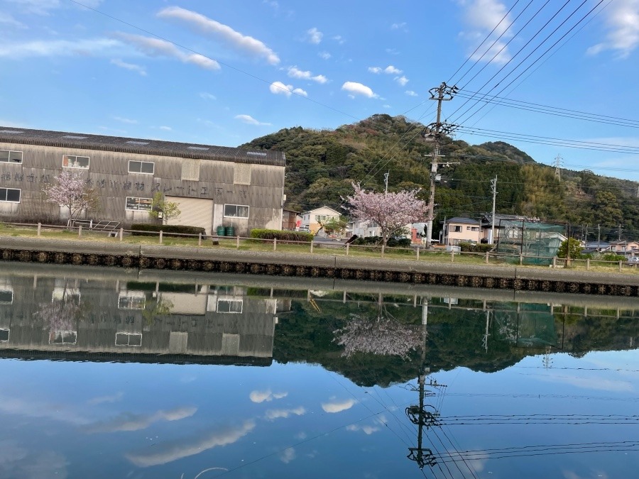 気持ちの良い朝✨