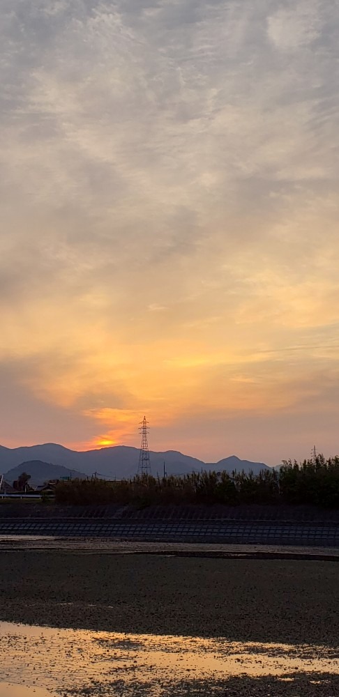 今朝の朝日☀️