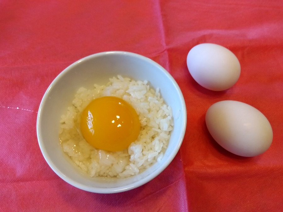 初めて　合鴨の卵を食べます🥚