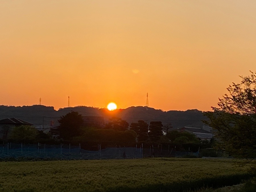 今朝の空②