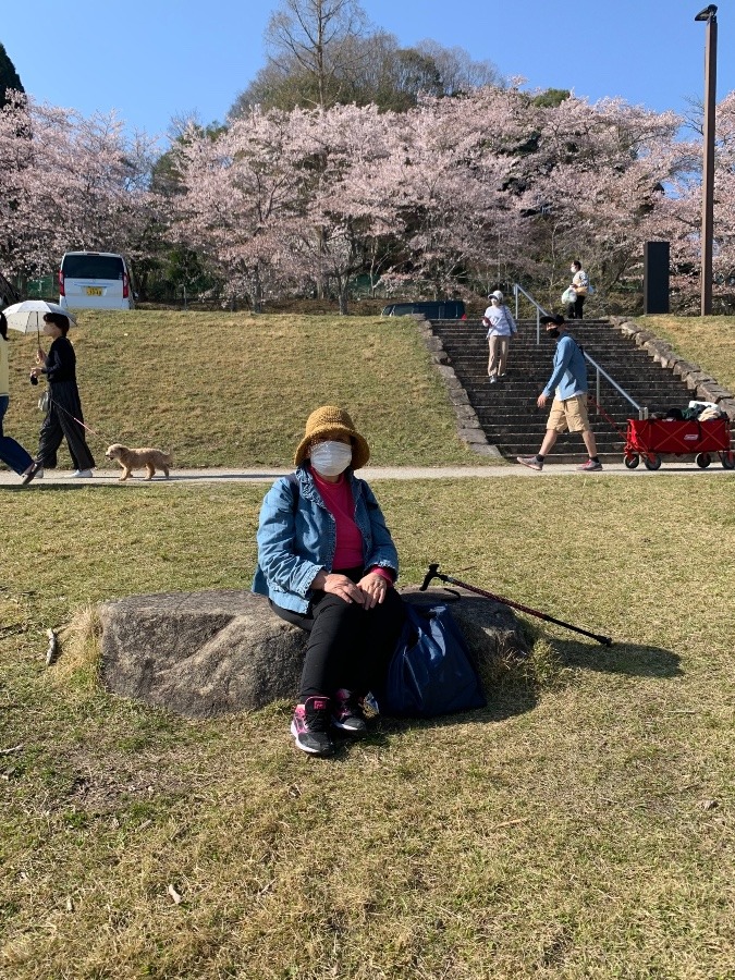 年老いていく母