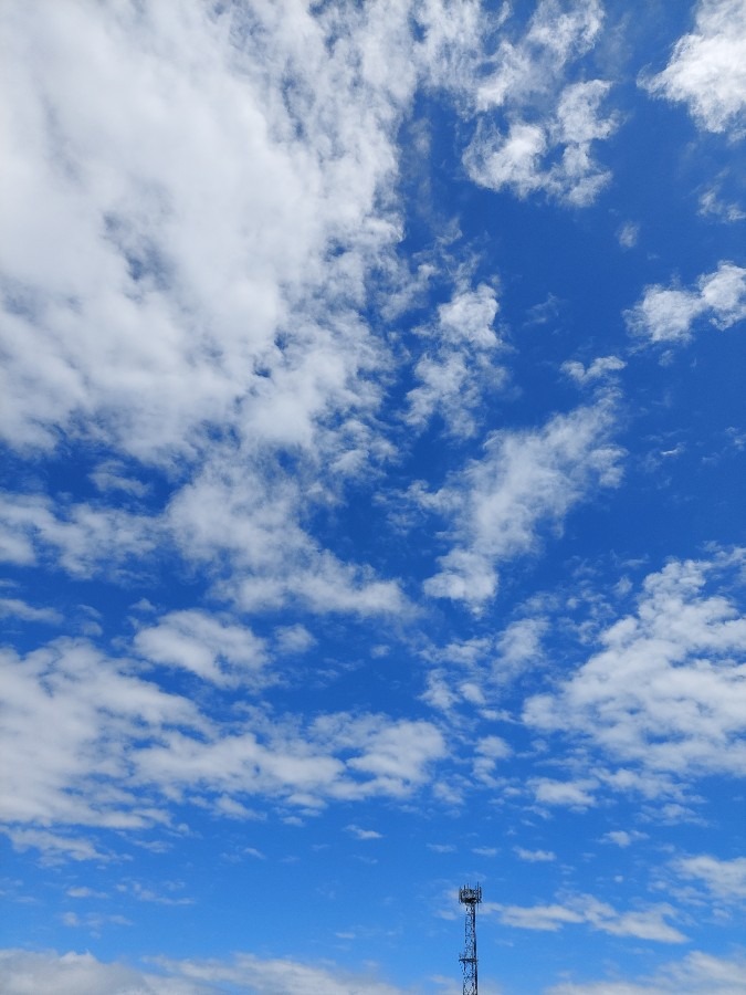 さっきまで雨だったのに