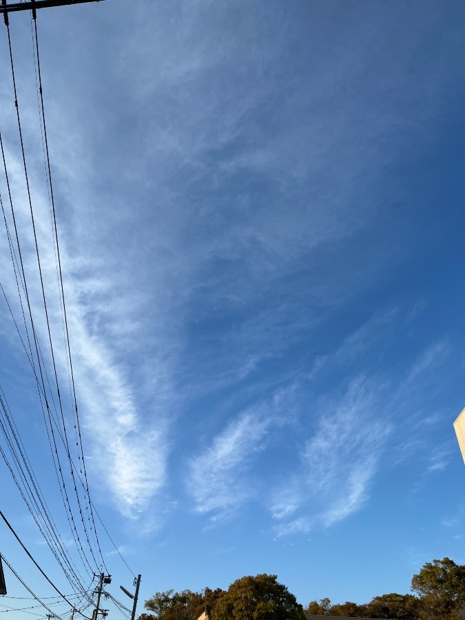 今日の雲