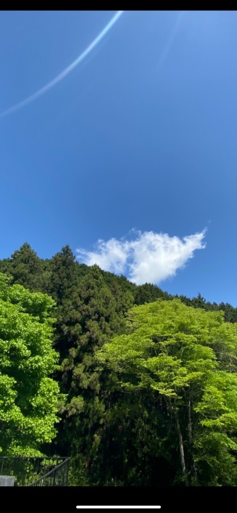 今日の高尾山