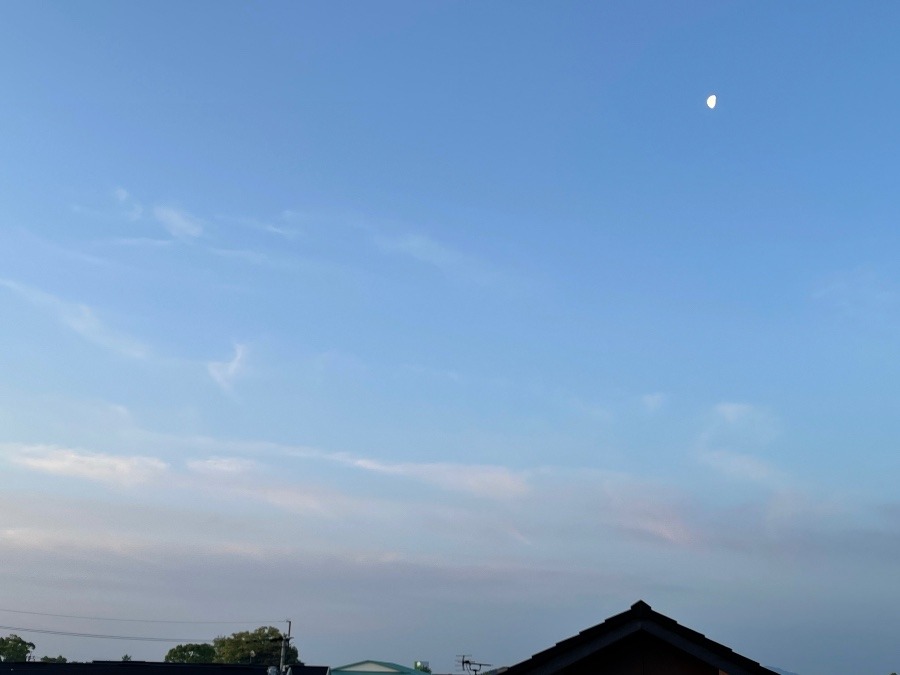 2022/4/22 朝の空