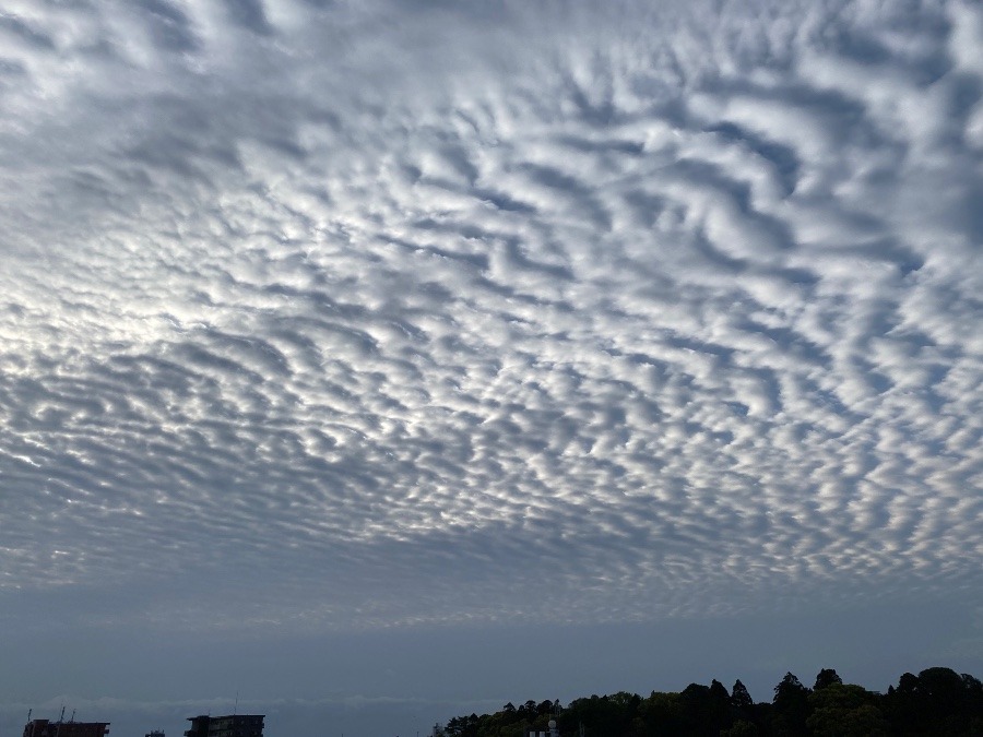 今朝の空🌥