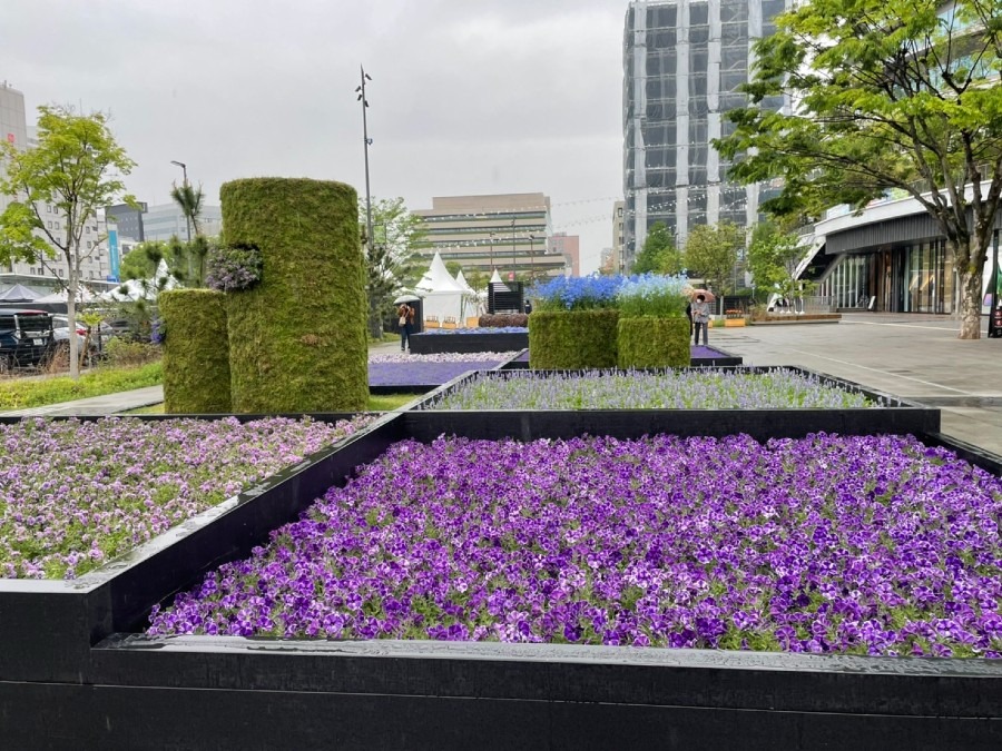 熊本花博街中編7