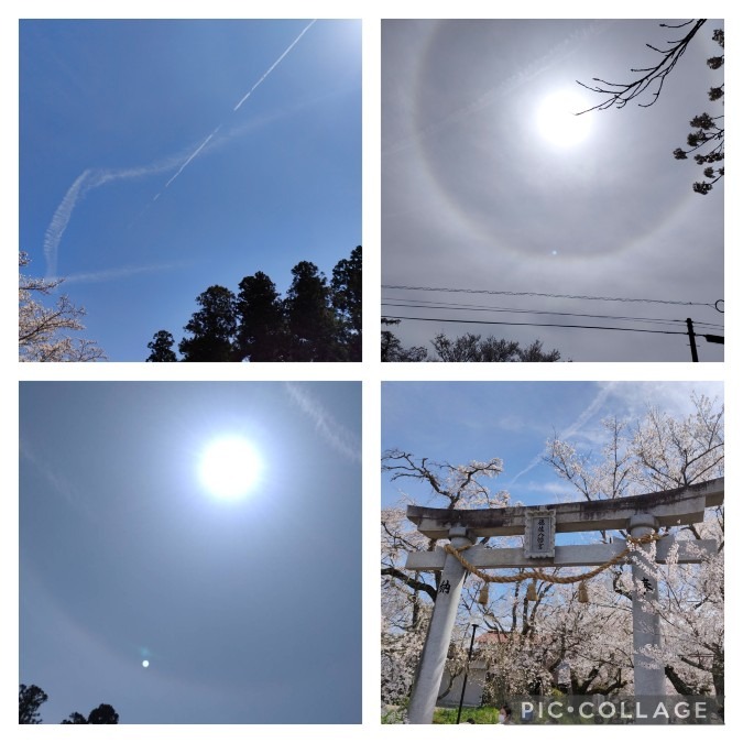 飛行機雲とハロ現象✈️