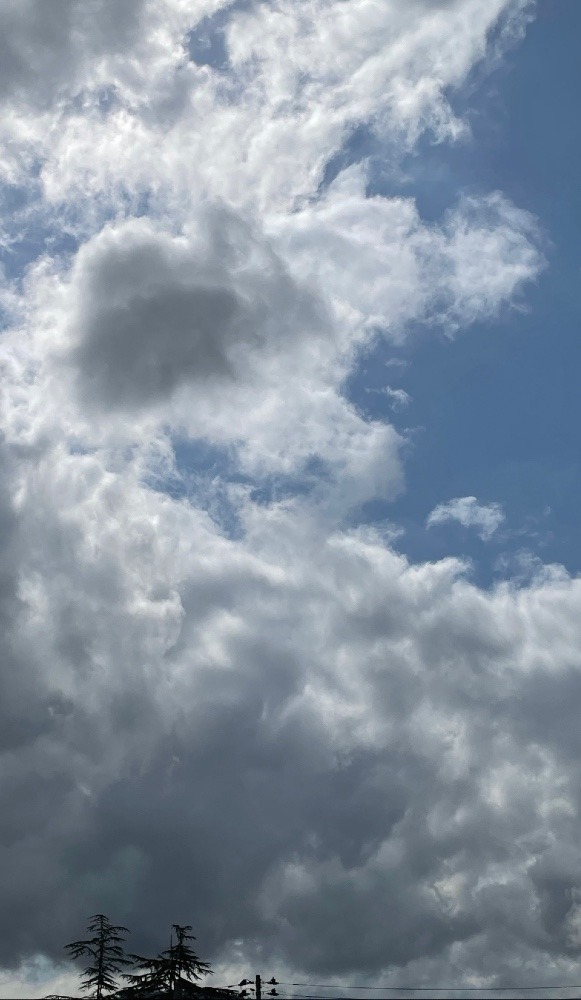 今日の空・雲