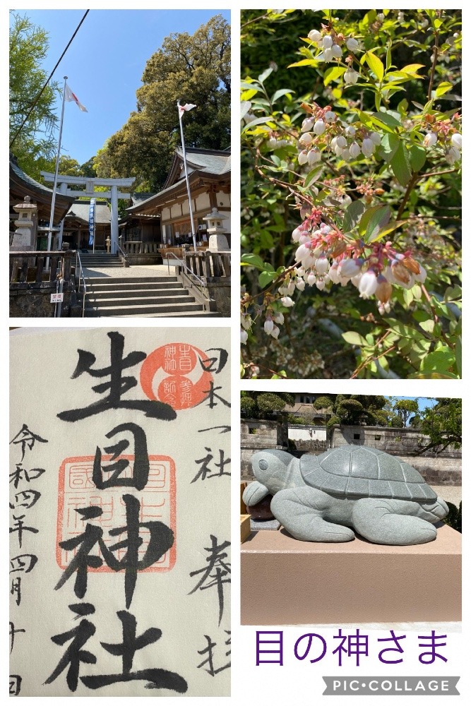 神社巡り