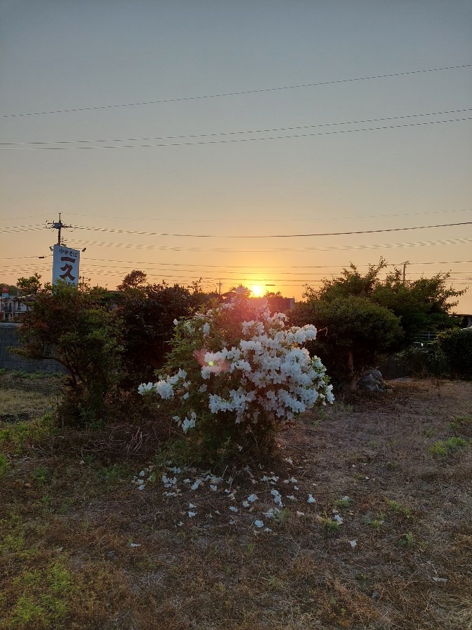 宇部市　夕日