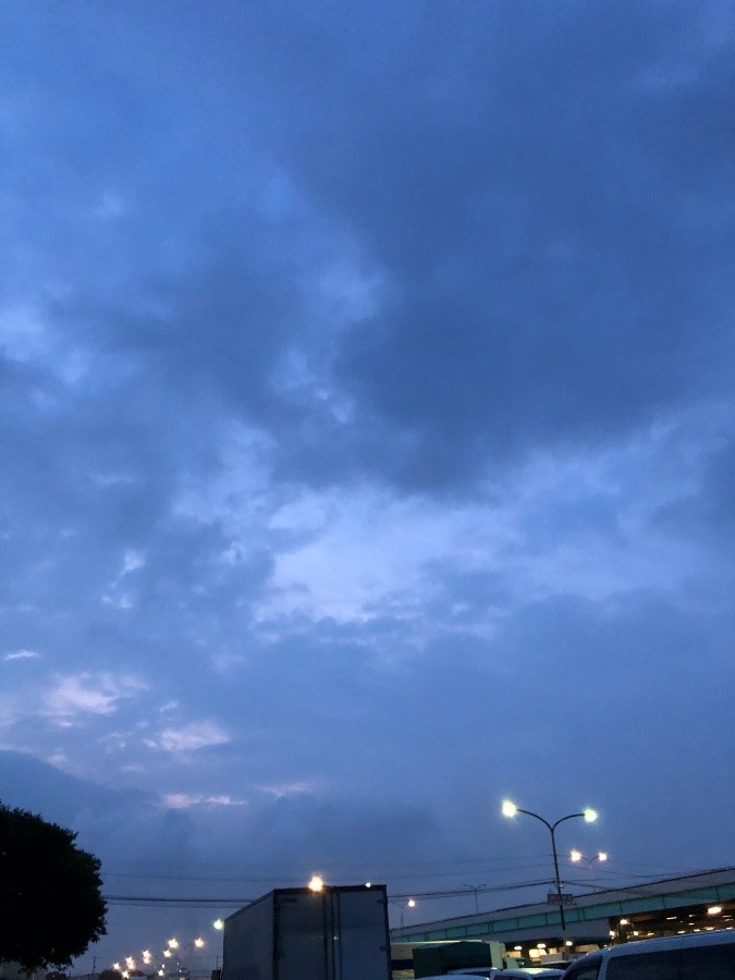 今朝の空