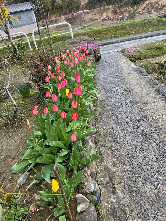 実家の庭先で❣️