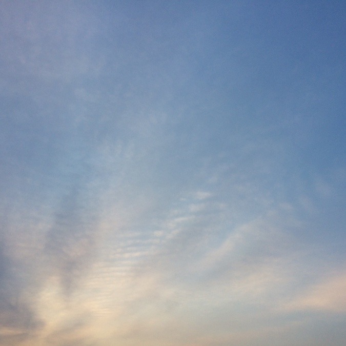 今朝の空 (5/20)