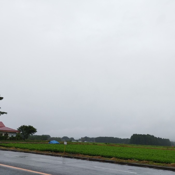 都城市（2022/5/21）　今朝は雨が降ってます☔😞